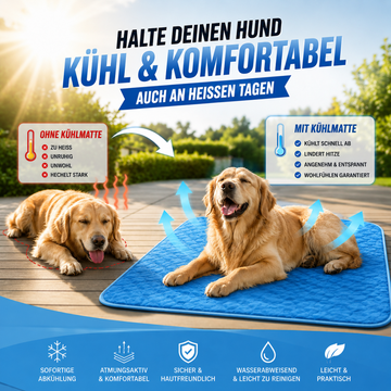 Kühlende Hundedecke